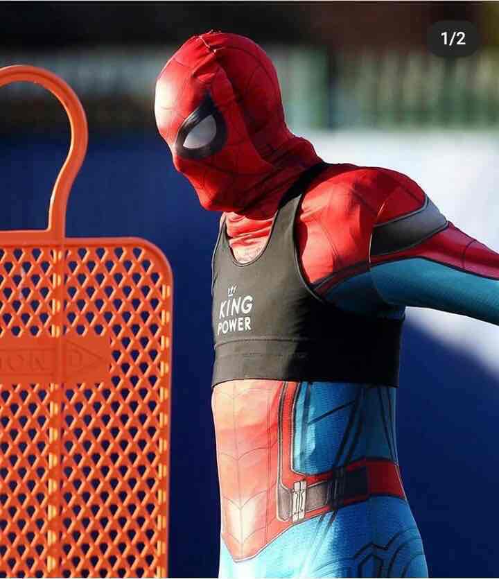 SpiderVecino