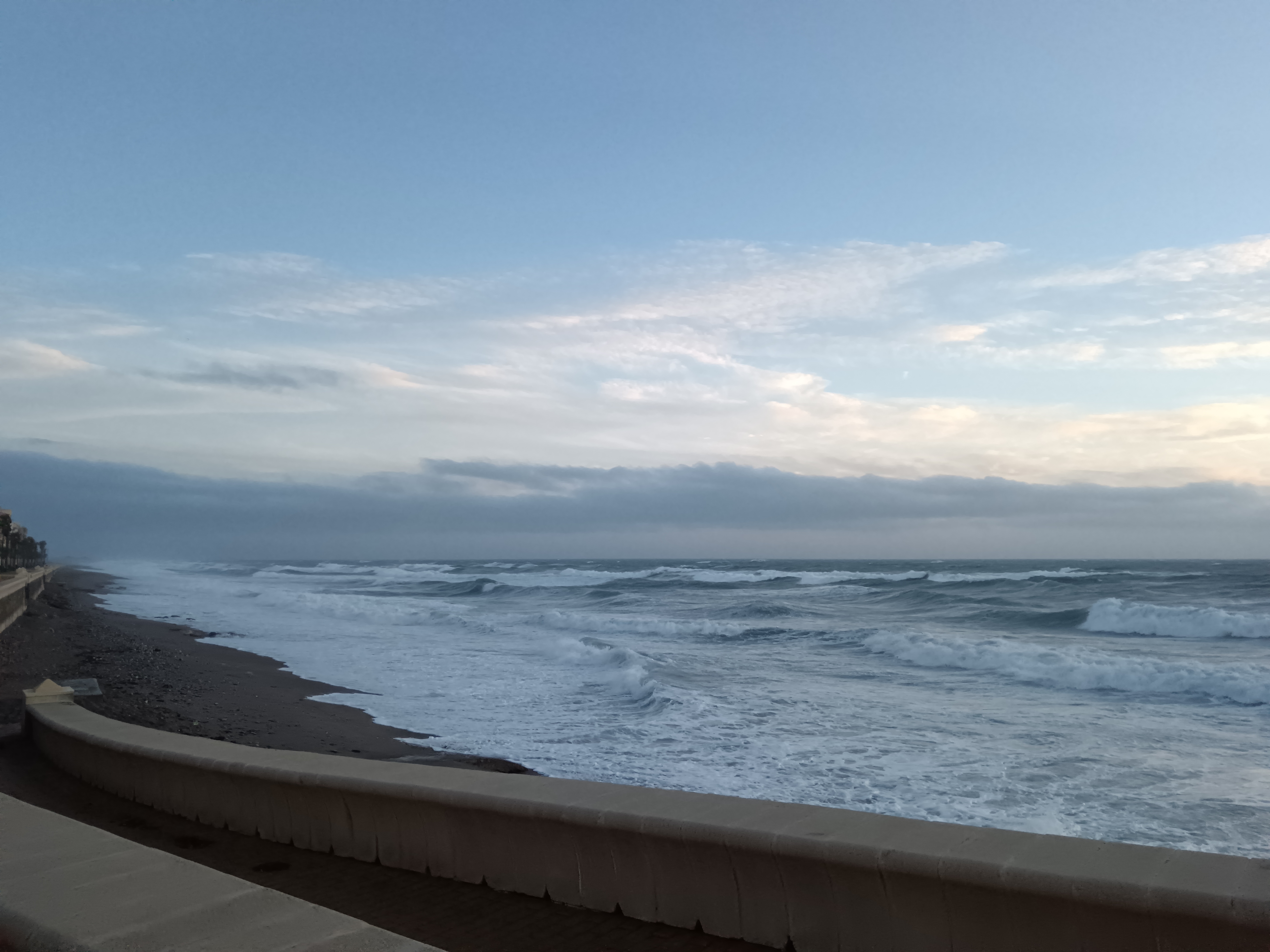 Latorre
