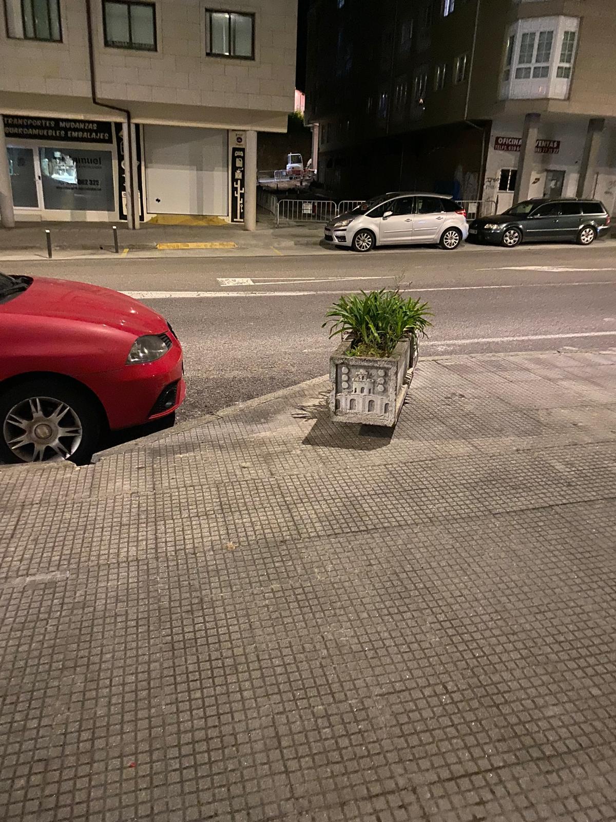 Gallega29